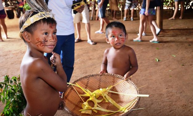 Iglesia, no secta: el Sínodo de la Amazonía