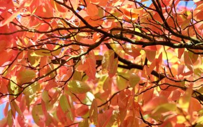 Reproches sobre el pasado