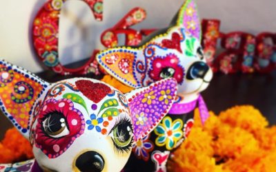 “Colores de México”, una noche de comida, música y tradición