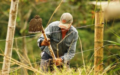 El dictador y el campesino