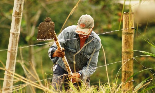 El dictador y el campesino