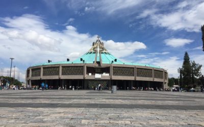 Un año para ganar la indulgencia plenaria en la Basílica de Guadalupe