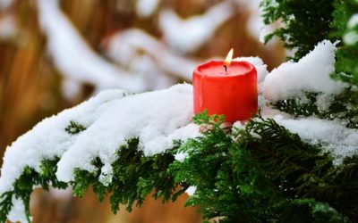 Caminemos a la luz del señor