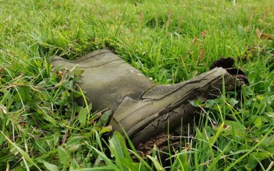 Cuesta trabajo ignorarlo