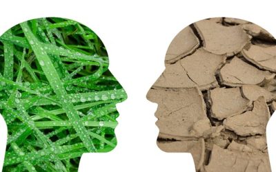 El cambio climático y la filosofía