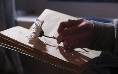 Descubre tu heridas y el Espíritu Santo las restaura