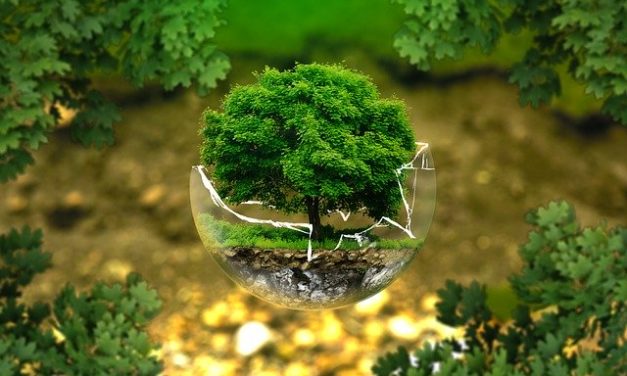 Progreso y ecologismo