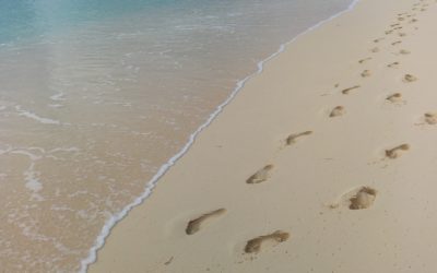 Disposiciones ante el Adviento