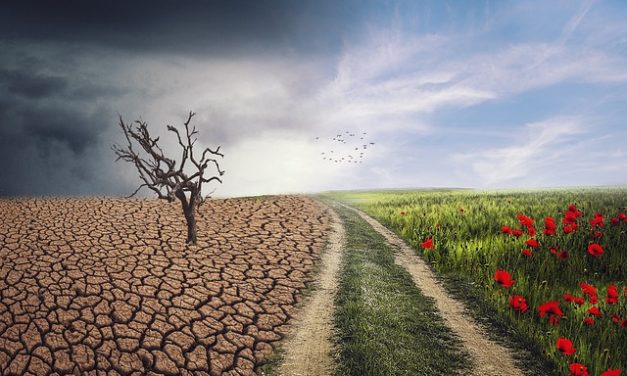 Cambios en los ecosistemas