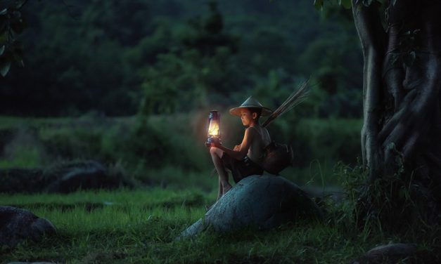 Una luz en la noche