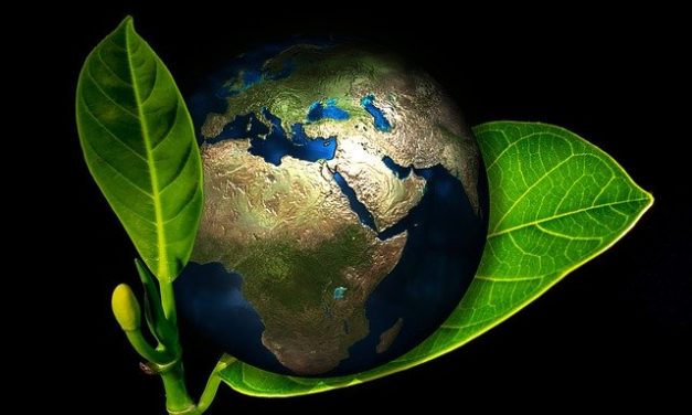 De Laudato si’, un decálogo ecológico