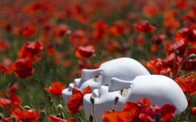 Ante una secta: qué hacer, cómo ayudar