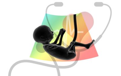 Contra la vida: «argumentos alternativos»