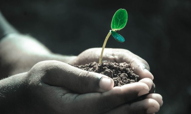El credo del incrédulo