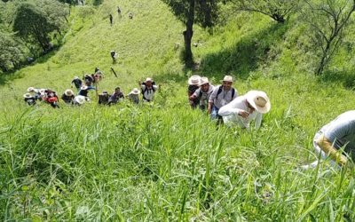 México, país de peregrinaciones