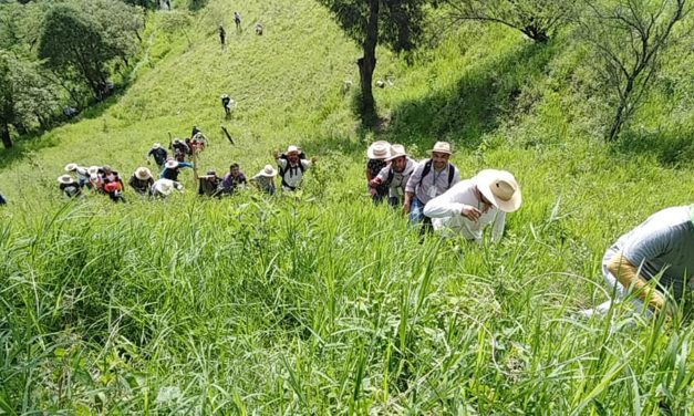 México, país de peregrinaciones