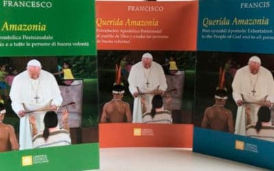 Doce claves de la exhortación apostólica del Papa: «Querida Amazonia»