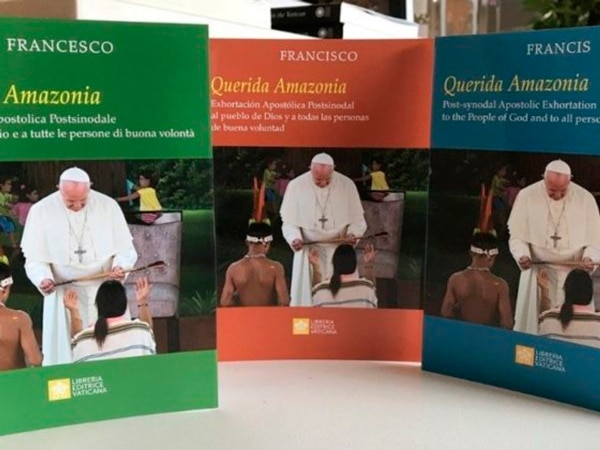 Doce claves de la exhortación apostólica del Papa: «Querida Amazonia»