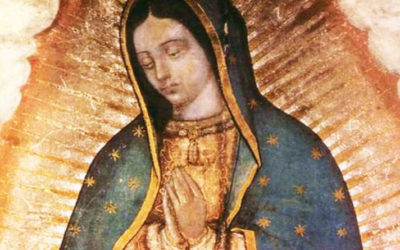 Coronavirus: CELAM propone consagración del continente a la Virgen de Guadalupe