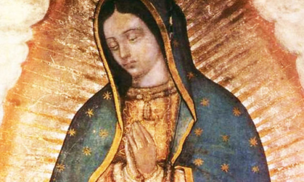 Coronavirus: CELAM propone consagración del continente a la Virgen de Guadalupe