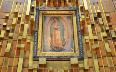 ¿Y si volteamos los ojos hacia la Virgen de Guadalupe?