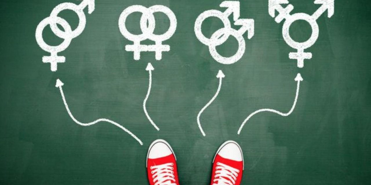 Gender : ¿Libertad o adoctrinamiento?