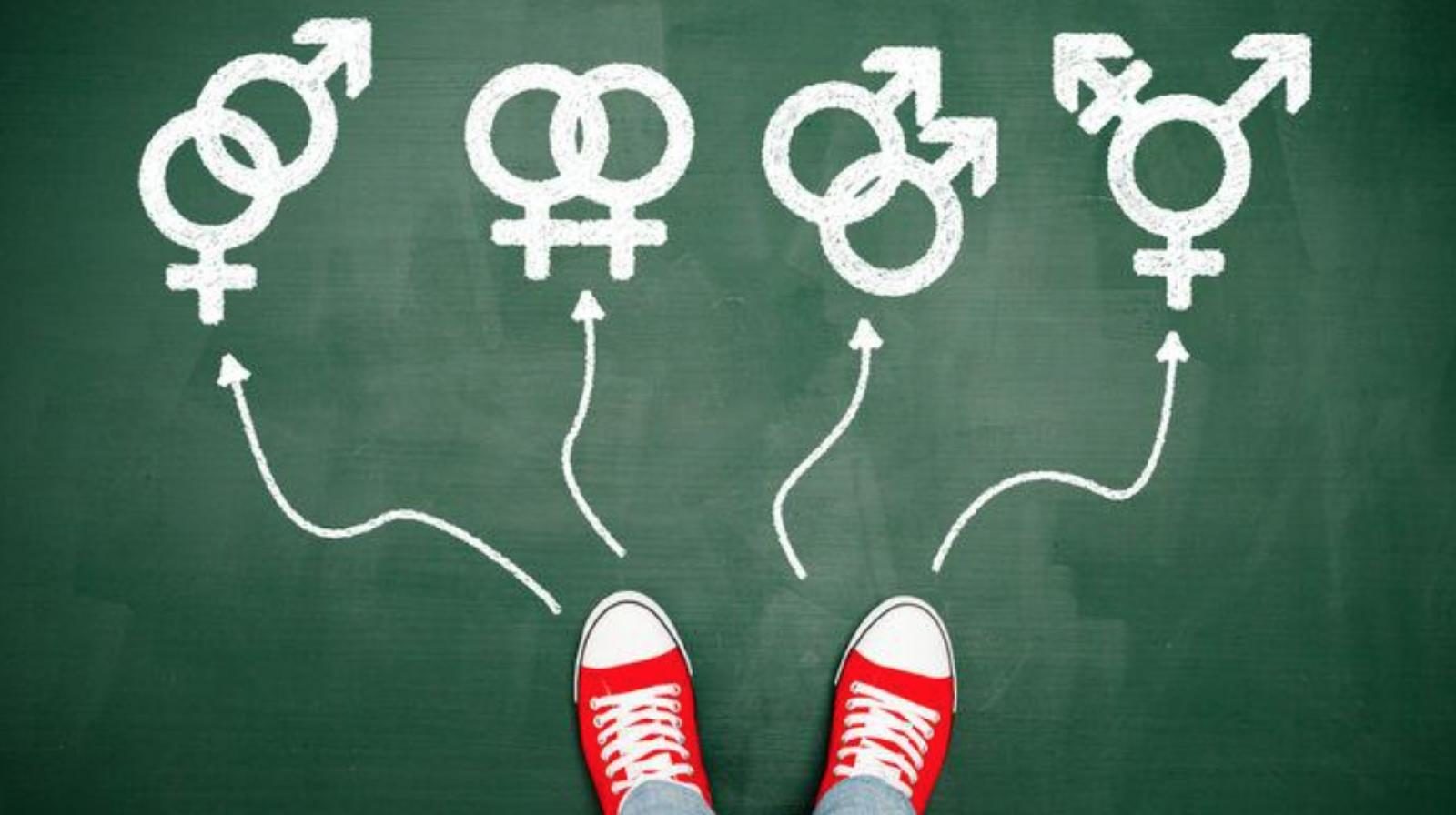 Gender : ¿Libertad o adoctrinamiento?