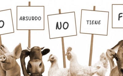 De la estupidez a la esperanza