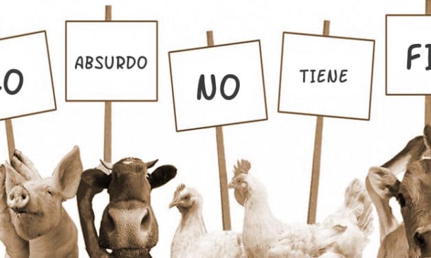 De la estupidez a la esperanza