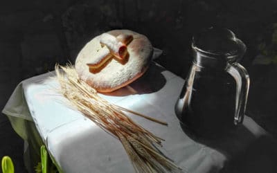 La Semana Santa en la Arquidiócesis Primada de México