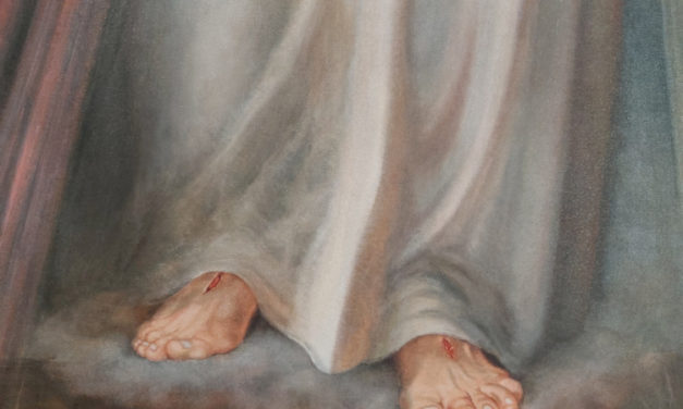 Celebrar la Misericordia