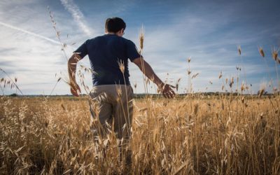 La fe es dulzura y gozo del alma