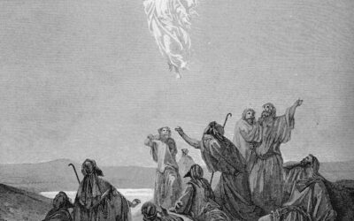 Hasta los confines del mundo: VII Domingo de Pascua 