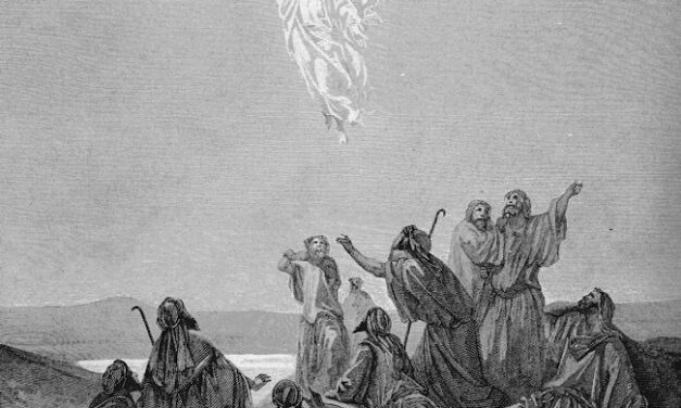Hasta los confines del mundo: VII Domingo de Pascua 