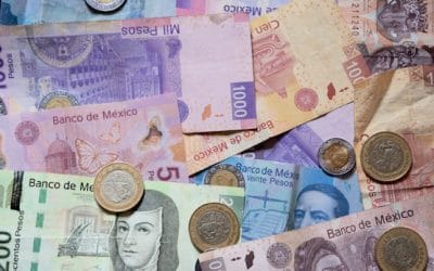 Los billetes falsificados