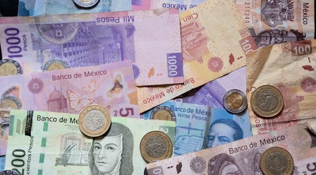 Los billetes falsificados