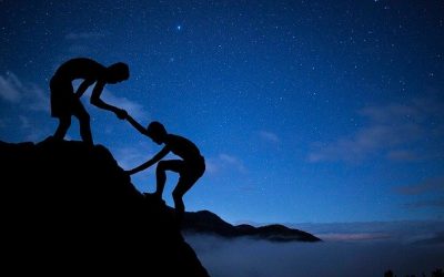 Acciones e intereses