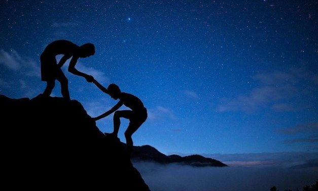 Acciones e intereses