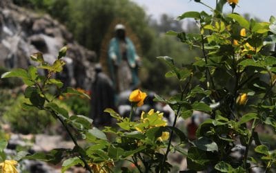 La Virgen de Guadalupe está en todos los momentos de nuestra historia El Observador / Redacción