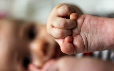 La Iglesia Católica, la política y el aborto