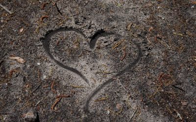 “Curar el mundo”