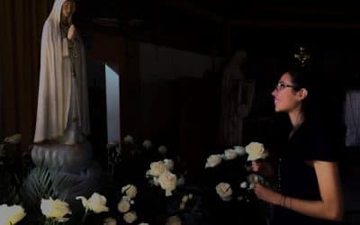 Mater Fátima busca la unión y la paz universal