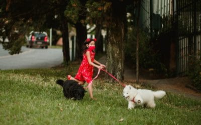 Una mascota, un compromiso