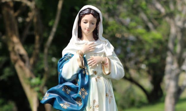 Novena a la Inmaculada