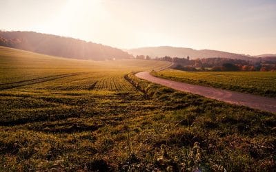 La cultura del cuidado como camino de paz