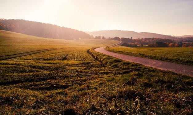 La cultura del cuidado como camino de paz