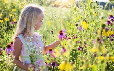 La infancia espiritual de santa Teresita de Lisieux