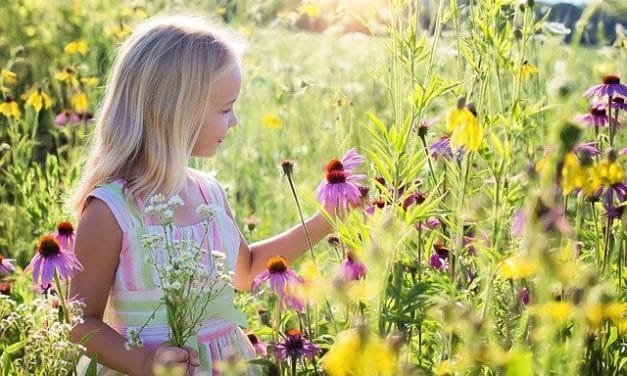 La infancia espiritual de santa Teresita de Lisieux