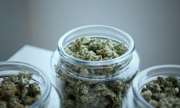 Legalización de la marihuana por encima del bien común