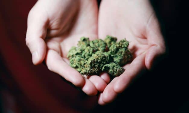 ¿Regulación de la marihuana?